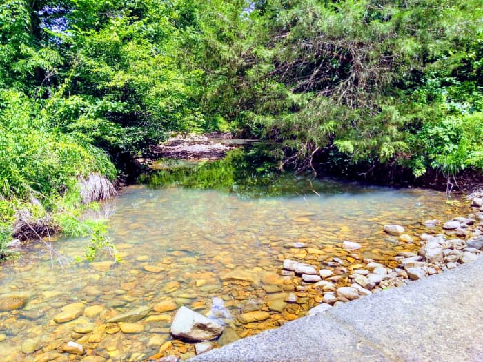 A shot I captured with my Pixel by the low water creek near my house. The Pixel excels at capturing shots like this.