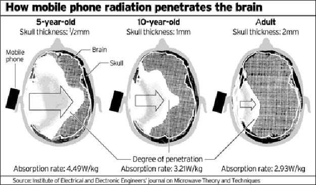 The graphic above is a troubling depiction of how cell phone radiation has a bigger impact on children. A graphical example of why young people should keep cell phones away from their heads.