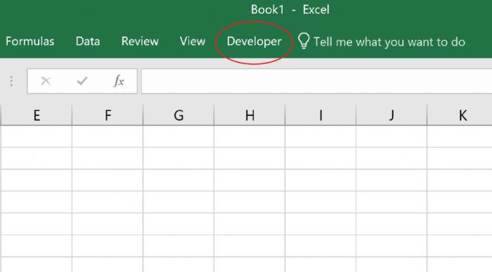 It only takes a few minutes to activate the developer tab. Even if you do not plan on doing much developer related work, this tab is good to have available so you can continue to improve your Microsoft Excel knowledge base.