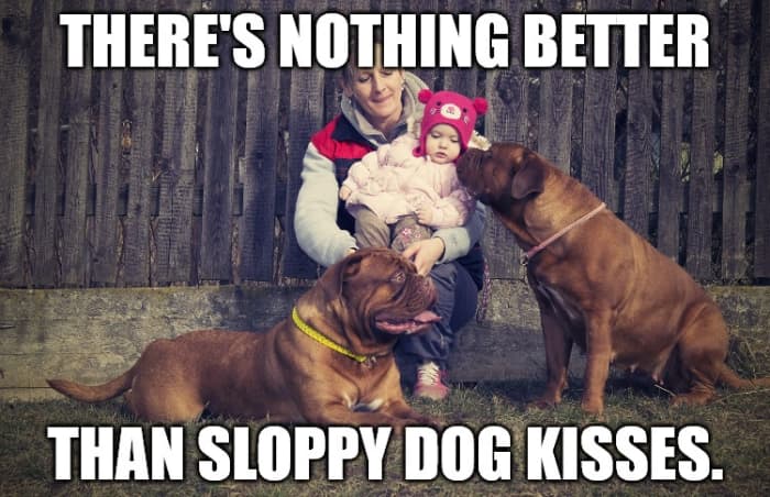 Celebrate every aspect of our canine friends with your caption—even the slobber.