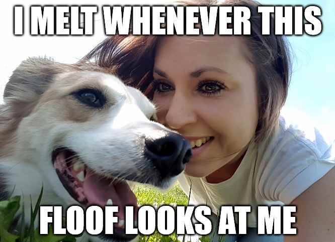 Try a caption celebrating your dog's floofiness.