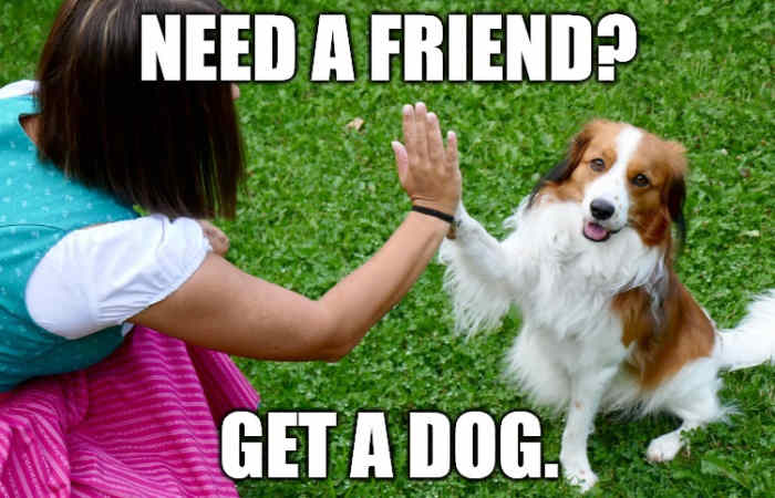 Dogs are the best! Enjoy your selfies!
