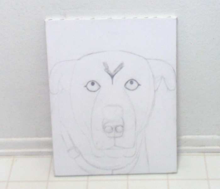 Here I have added the eyes, nose, and mouth to Buster's face.