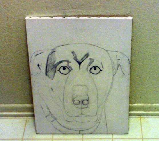 Here I shade in the darker portions of Buster's face.