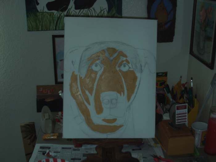 Here I begin to add the lighter portions to Buster's face.