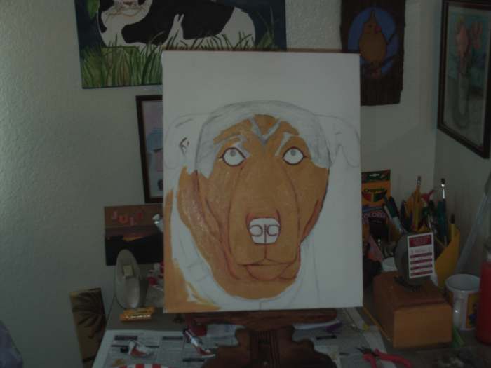 In this step I continue to fill in the lighter portions of Buster's face.