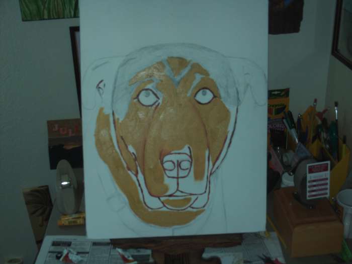 Here I use sienna paint to outline the features of Buster's face.  