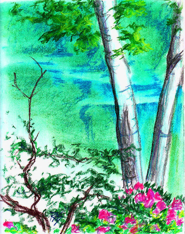 Flowers by Water, 8 1/2" x 11" in Color Conte sticks on white wirebound ProArt sketchbook paper by Robert A. Sloan.