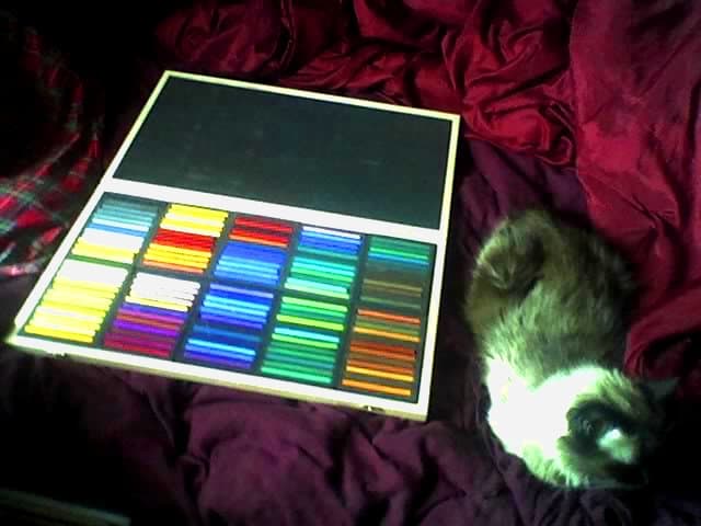 Photo of my new 120 color Richeson hard pastels full range wood box set, with my large cat Ari for size comparison. It's a big box! Robert A. Sloan