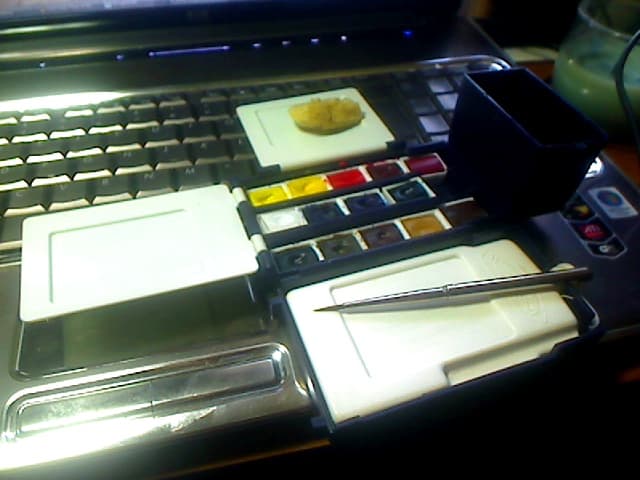 Photo of my Winsor & Newton Artist's Field Box with two additional colors: Permanent Rose and Quinacridone Gold.