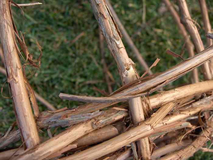 How to Make a Grapevine Basket Photo Guide