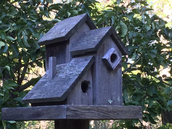 Made of pine, I made this birdhouse at least 15 years ago. The wood has weathered to a beautiful silvery-gray.