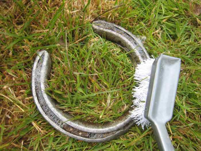 How to Make Painted Horseshoes as a Handmade Decoration or Gift