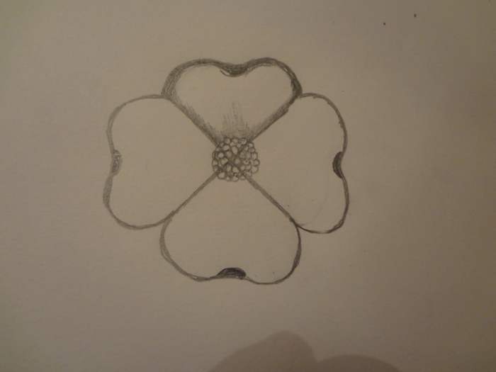 How to Draw a Dogwood Flower