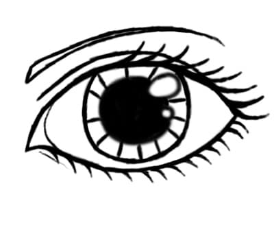 How to Draw a Feminine Cartoon Eye (in Eight Simple Steps) - FeltMagnet