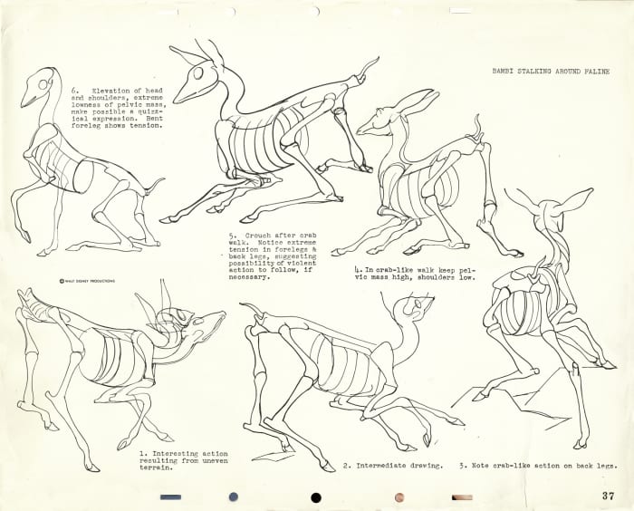 How to Draw Animals - FeltMagnet