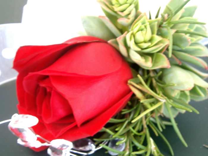 I use succulents and rosemary from my backyard to accent a single red rose--more akin to the traditional boutonniere, where herbs are also used.