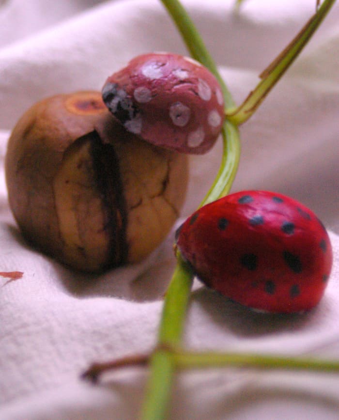 As you can see, the seeds have shrunk quite a bit, to just the right size for a fun brooch.