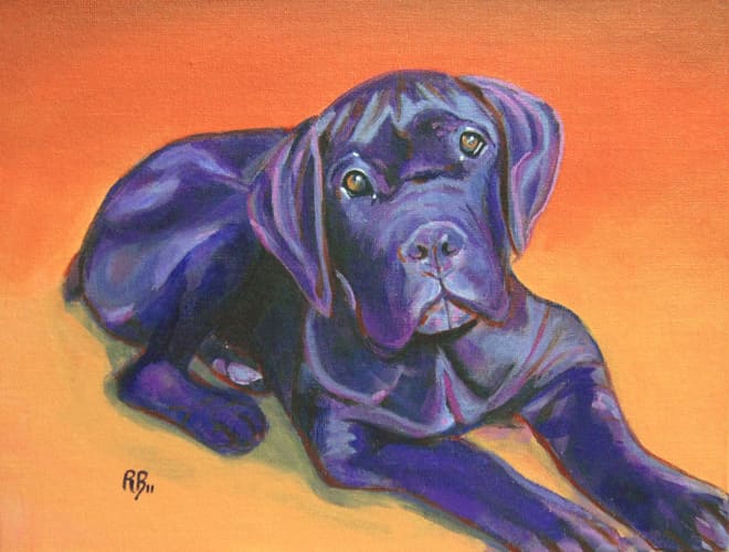 "Ettore, Cane Corso, the Italian Mastiff" is an example of the complementary color scheme blue and orange. Acrylic on canvas, 9"x12".
