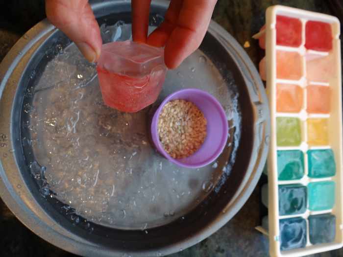 How to Make Ice Suncatchers (Great Winter Craft!)