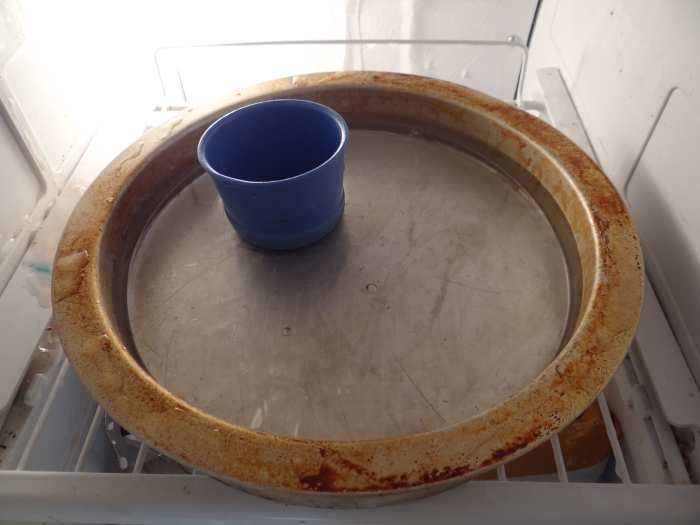 How to Make Ice Suncatchers (Great Winter Craft!)