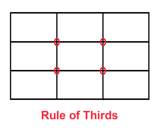 Draw four lines dividing your picture into thirds, both horizontally and vertically. Place your focal points near the intersections.