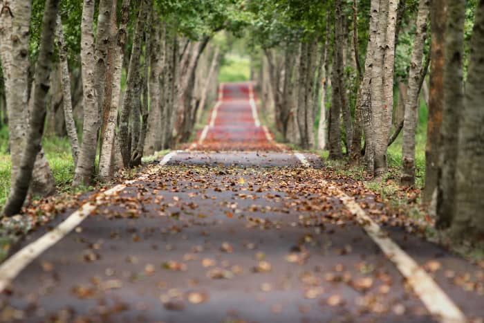 The road gets smaller closer to the horizon, towards a vanishing point (linear perspective) and receding objects lose their details (aerial perspective).
