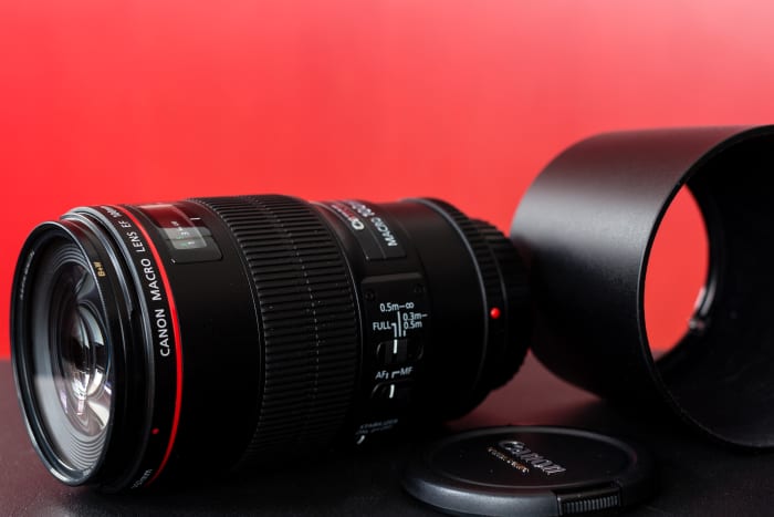 Canon's 100mm f/2.8L IS USM macro - this lens was a definite for me - I love macro!