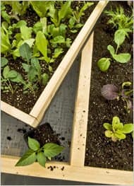 Building TRAYS for your salad bench is another option. Trays can be inserted into the table for a variety of purposes.