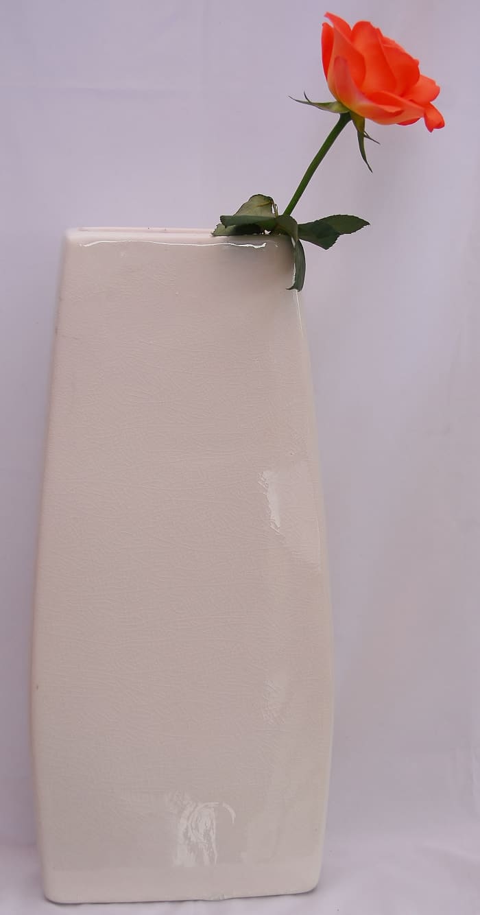 The Before Photo: The simple vase which measured 41 cm in height. A round sided vase would work equally well.