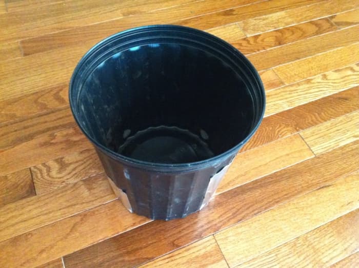 This is my high-tech camera accessory. It is a black pot from the local garden center. I used duct tape to cover the holes.
