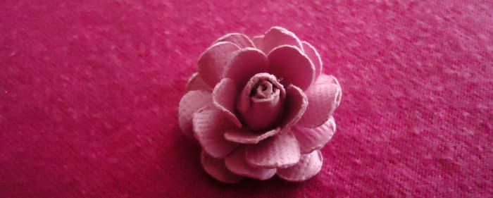 Glue the last one under (curled sides facing down) making sure to alternate with the petals already glued on and viola! Your beautiful handmade rose is finished.