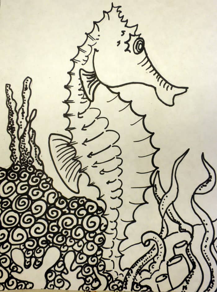 How to Draw a Sea Horse in 5 Steps (With Photos) - FeltMagnet