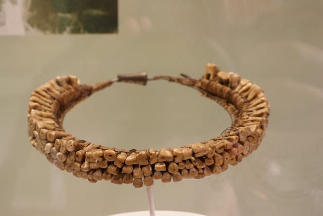 Human teeth necklace (vuasagale) displayed in The National Museum (or Museum Gajah) in Jakarta, Indonesia