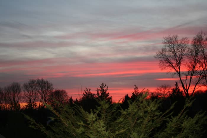 Consider the colors in a sunset. This beautiful sunset captures hues of gray and light reds against a green row of trees.