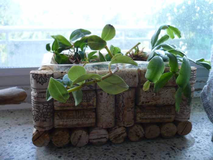 How to Make a Recycled Wine Cork Plant Container