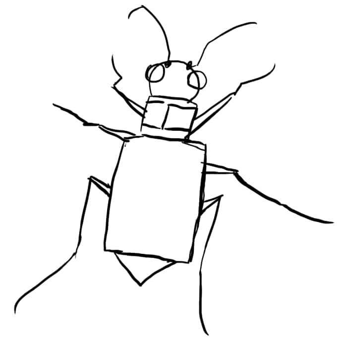 How to Draw Anything You See - HubPages