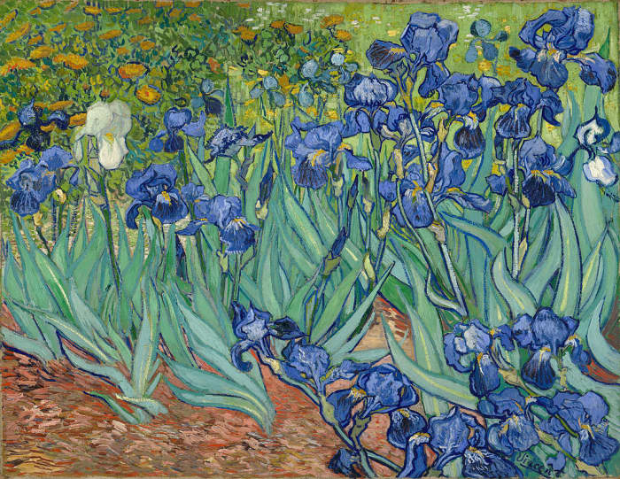 Great painting by Vincent Van Gogh. Thick Paint, less detail in the background, great composition, use of lines, and placement of focal point. Vincent van Gogh - Irises (1889)