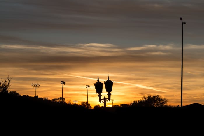 The low light level during golden hour offers neat possibilities for capturing silhouettes.