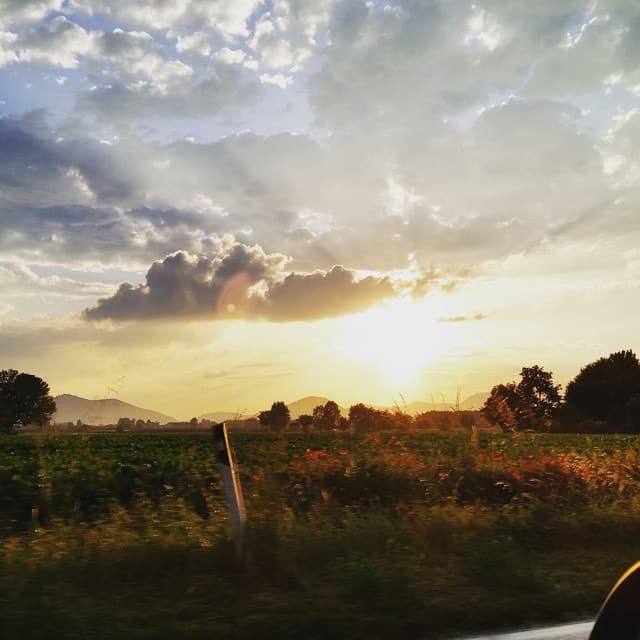 A friend of mine let me use this wonderful photo as a reference for "Glimpse." He took it with his phone at sunset. I edited to fit the size of the canvas and other adjustments.