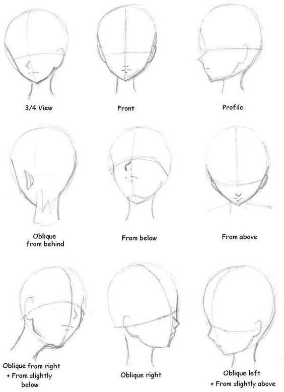 This is a handy guide to the many perspectives at which you could draw a face.
