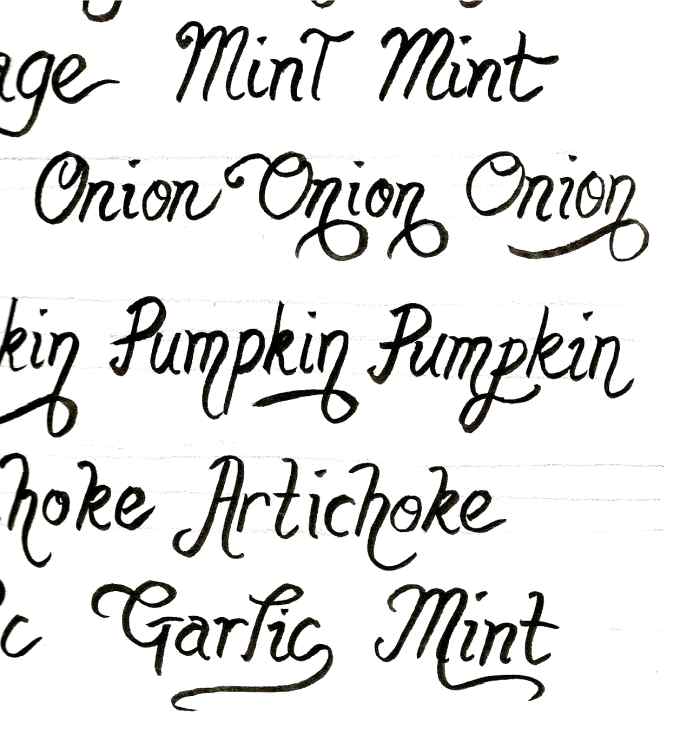 Practice writing the names of your plants on paper first. It will give you confidence, and it will help you gauge how much room you'll need to fit everything onto your rock.