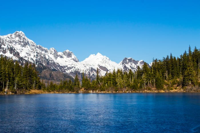 Would you be willing to spend two years alone on an uninhabited Alaskan island to teach yourself photography?