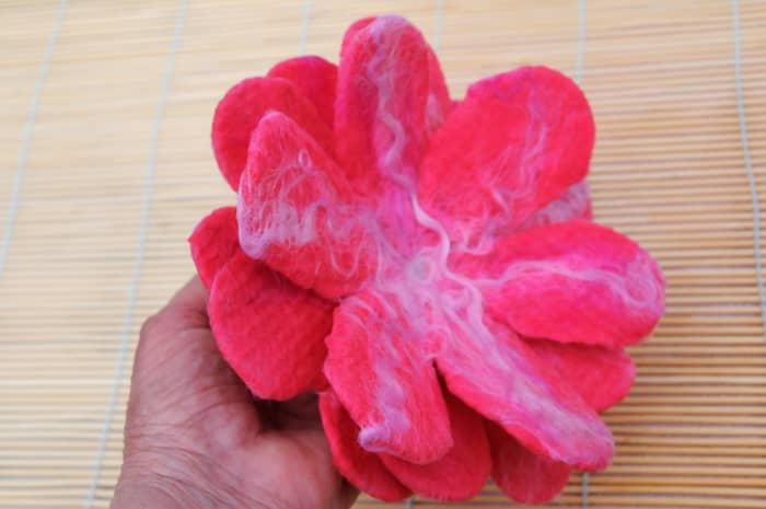 The three layers of the flower are cupped into a hand to show how the uncut layers appear.