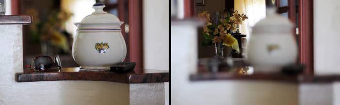 What do you want to focus on? If you're using autofocus, make sure your camera gets it right before shooting!