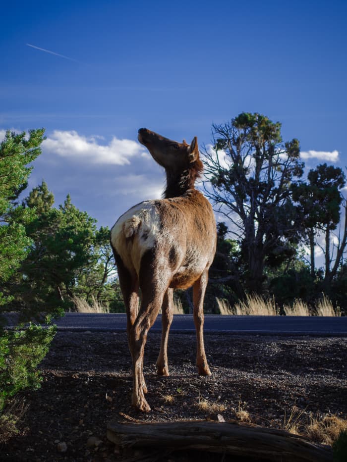 Understanding how to make the proper composition, set the exposure, read your histogram, and use a guideline like the "rule of thirds" are all important aspects to learn.