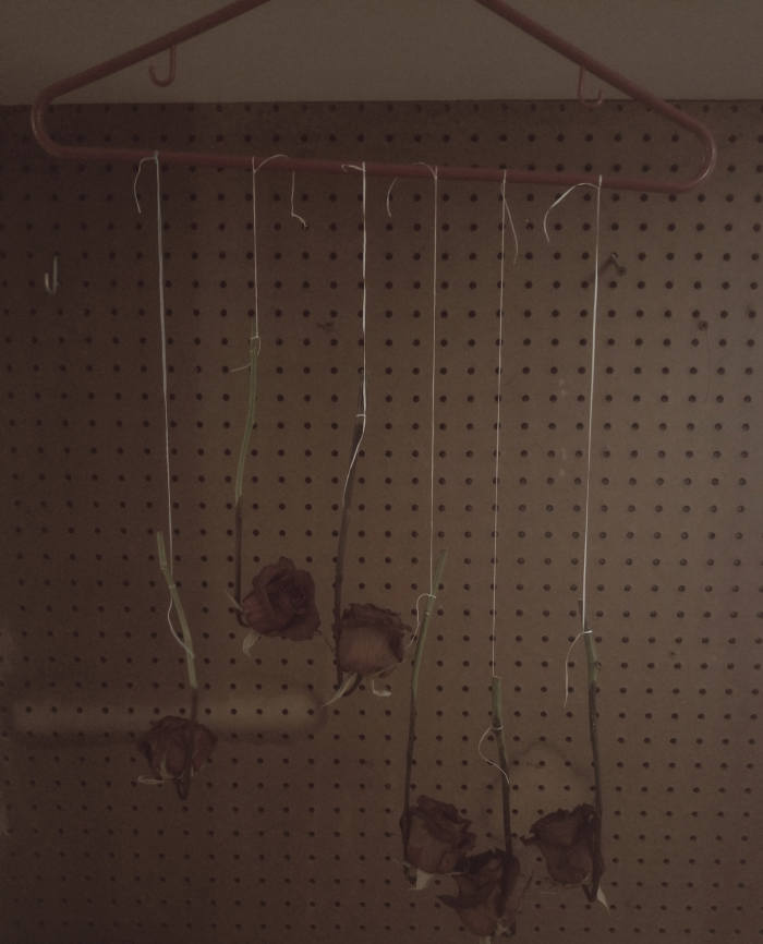 Simple and Easy DIY Boxwood and Dried Rose Wreath HubPages