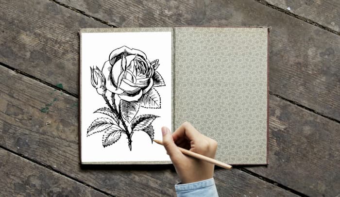 Roses are very popular flowers for landscape coloring projects. Excellent choice for blending and shading techniques.
