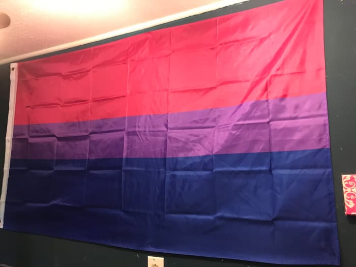 Don't be afraid to proudly display the bi pride flag on Bi Visibility Day, or on any other day.