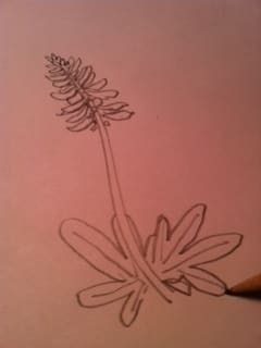 Step 5